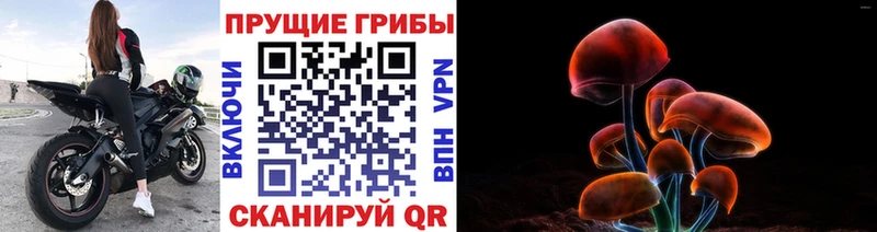 что такое наркотик  Болохово  Галлюциногенные грибы Psilocybine cubensis 